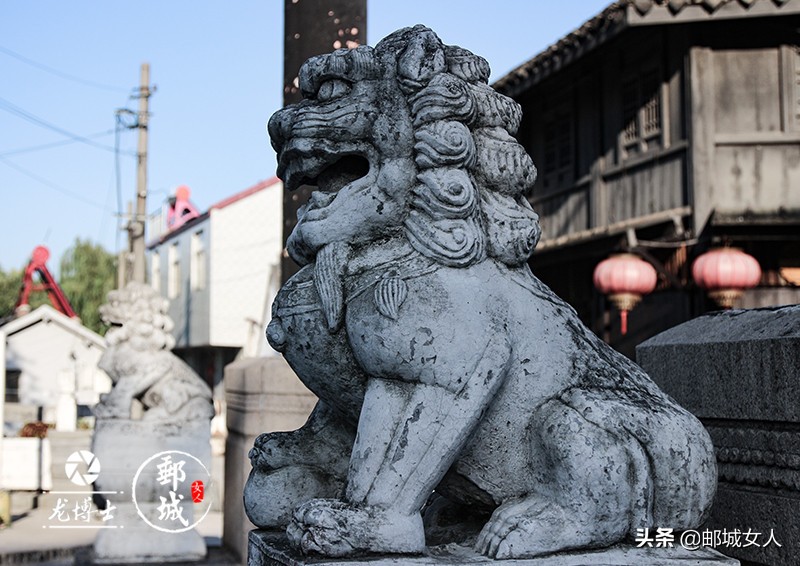 更高邮更文化｜高邮龙博士茶余话狮