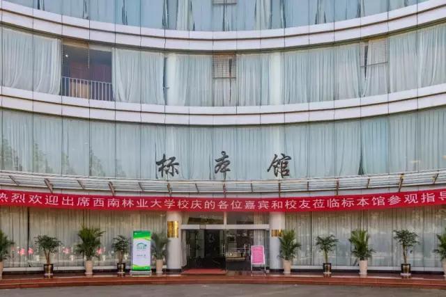 蓝花楹昆明网红打卡地在哪里,昆明周边湿地公园网红打卡地