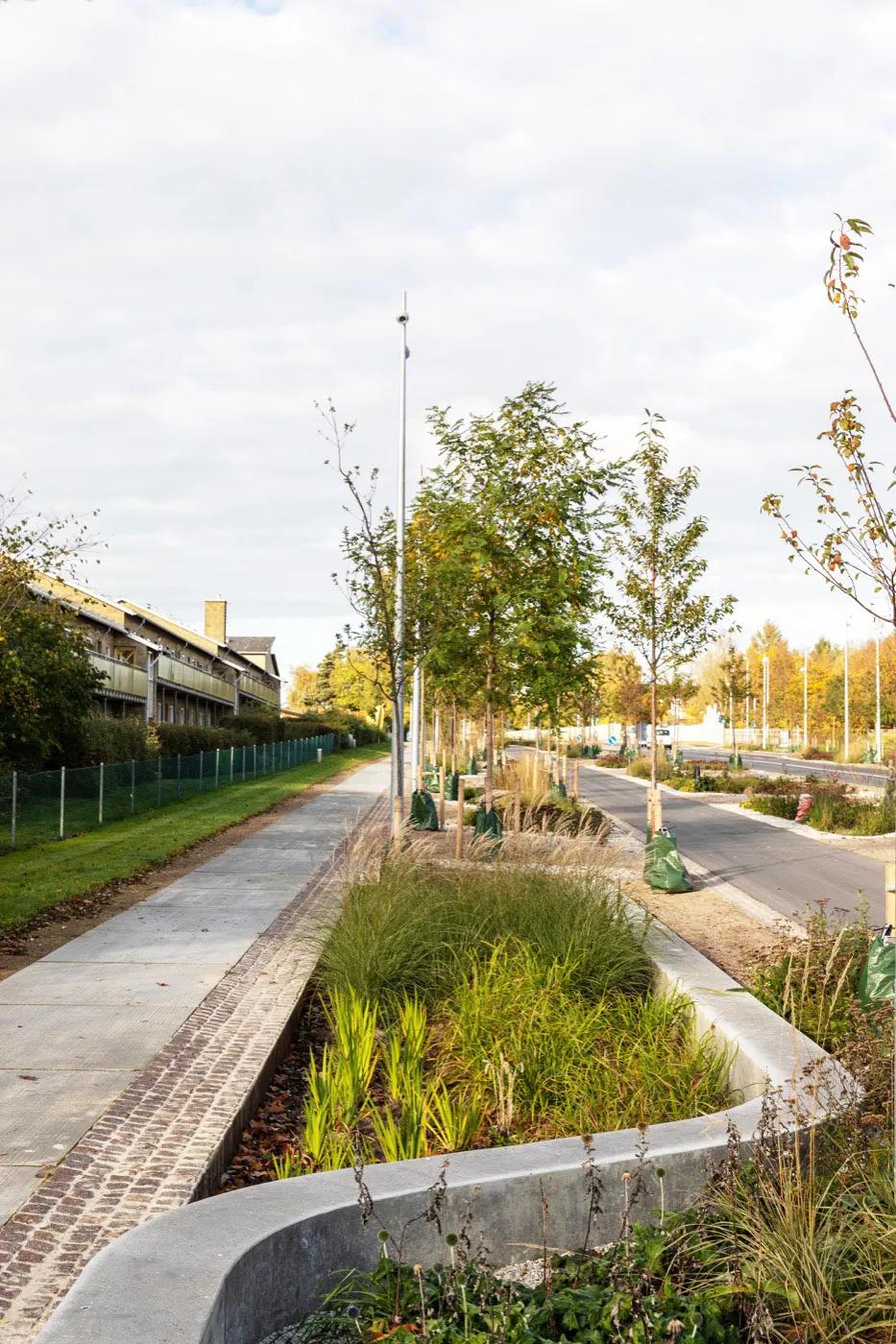 道路设计效果图,个性路面设计