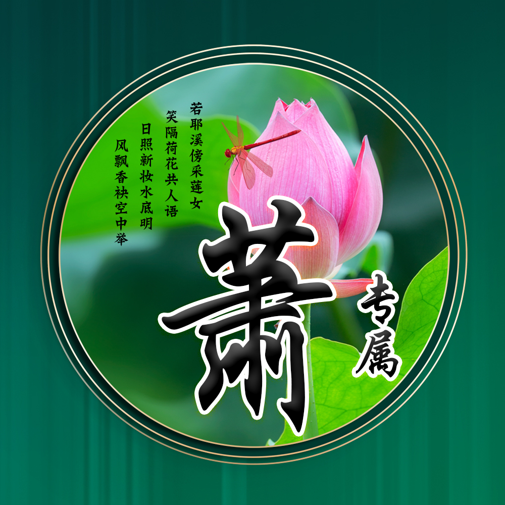 100张唯美荷花姓氏头像,适合做头像的荷花图片清晰点的