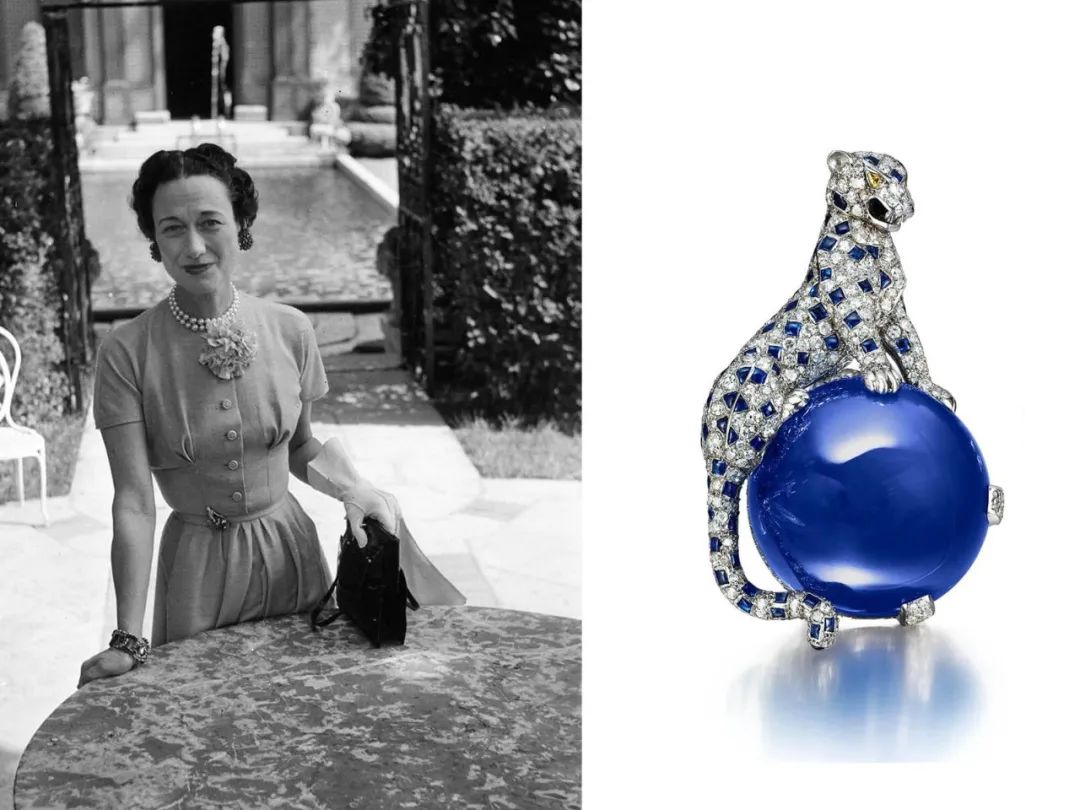 动物珠宝,精美动物珠宝