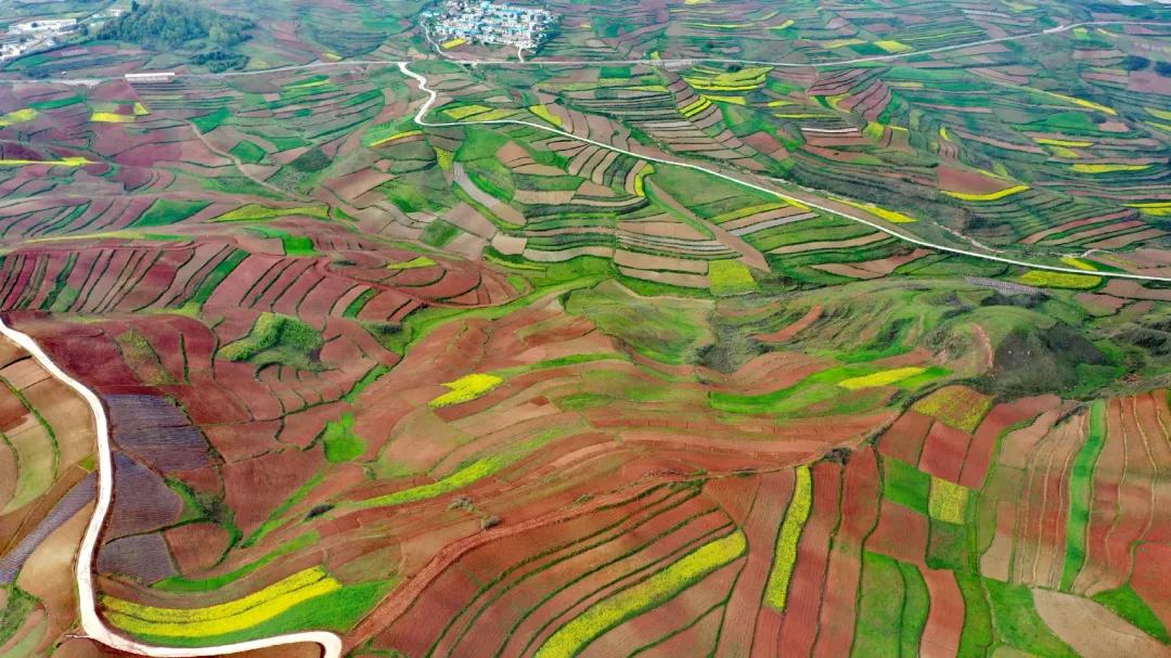 幸福武都,这就是幸福英文