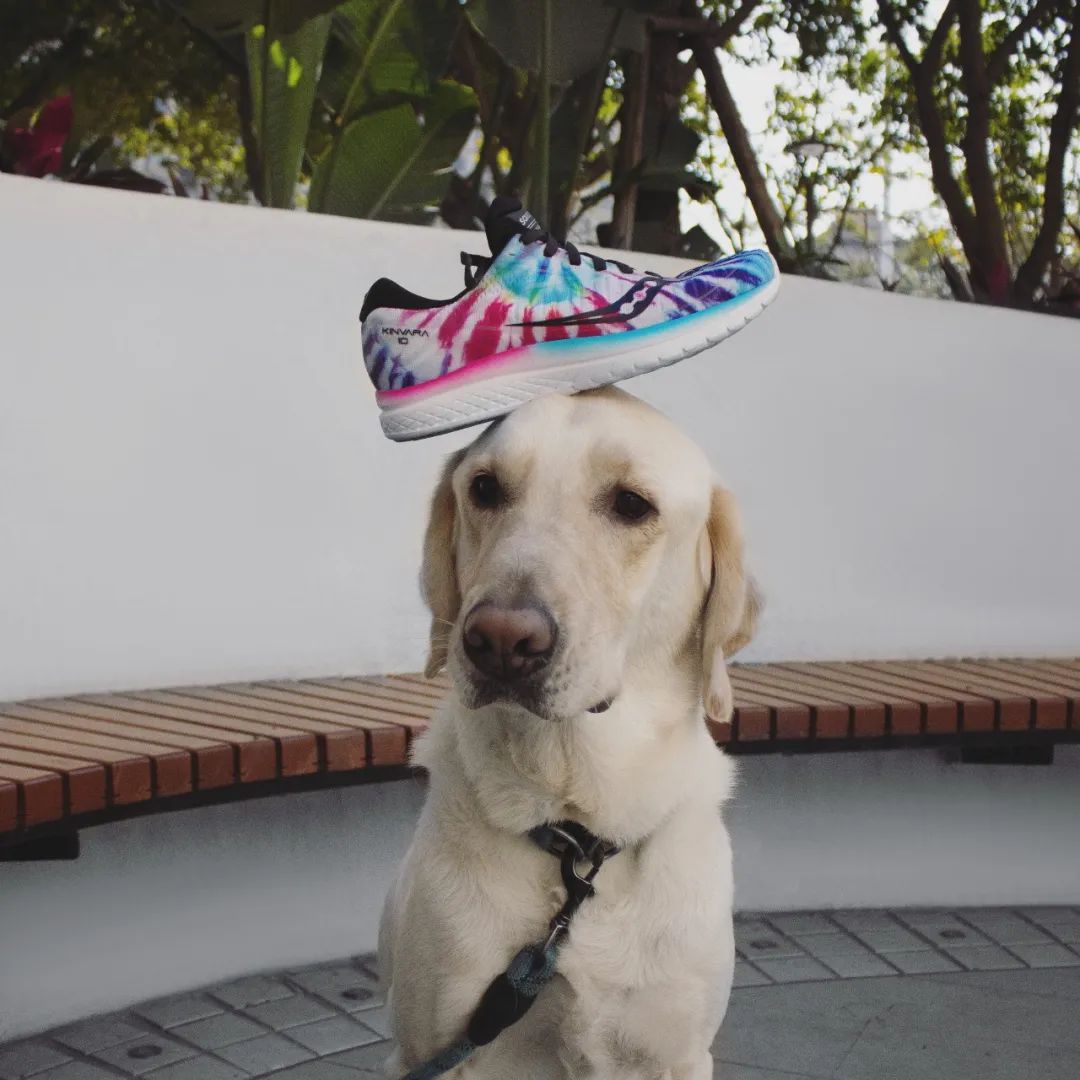 穿什么鞋跑步不磨脚,稳定性好又轻的跑鞋