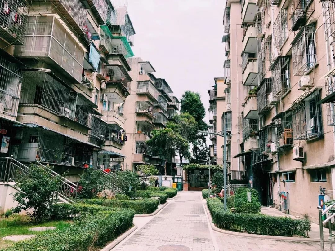 厦门打击炒房,厦门打击炒房行为