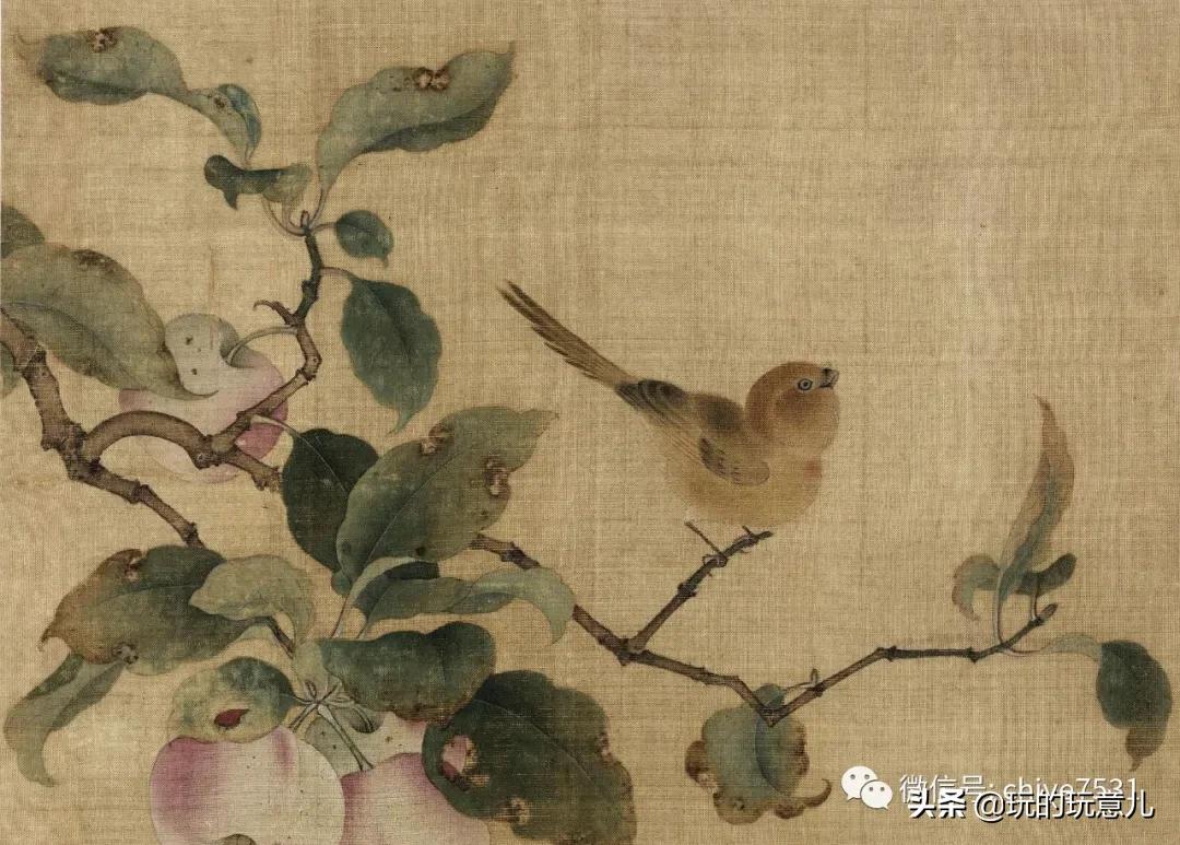 京巴狗与西藏狗,京巴犬和西班牙獒