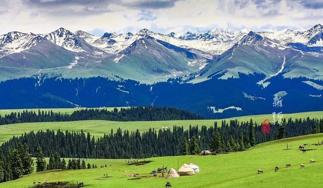 在*疆新**，谁才是“果界一哥”？