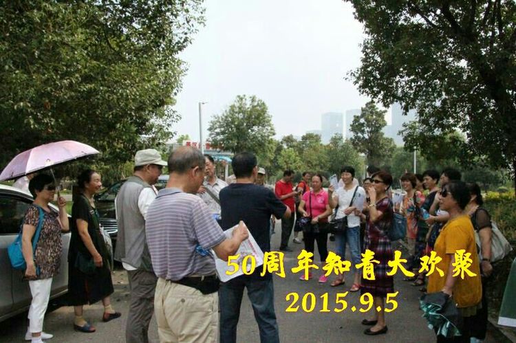 难以释怀的知青情结,60年代的知青情结