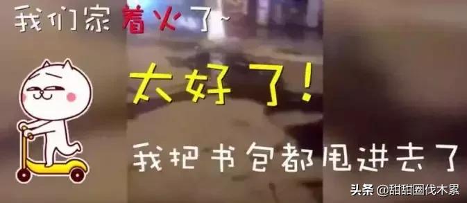 被大火烧掉书包,放火把寒假作业烧了犯放火罪吗