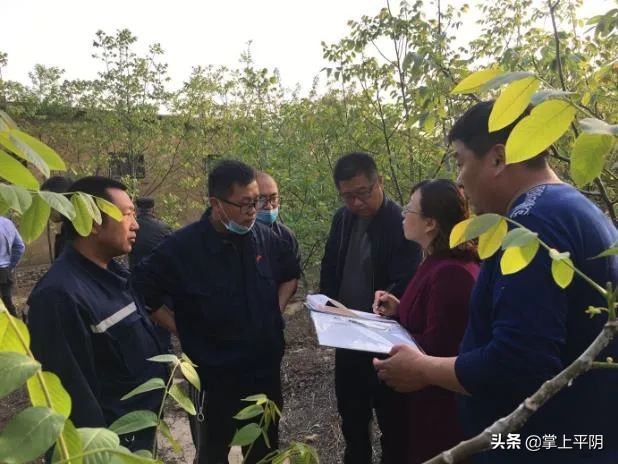 平阴新闻|晁广强成功捐献造血干细胞凯旋归来；昨日花蕾价格3.47元/斤