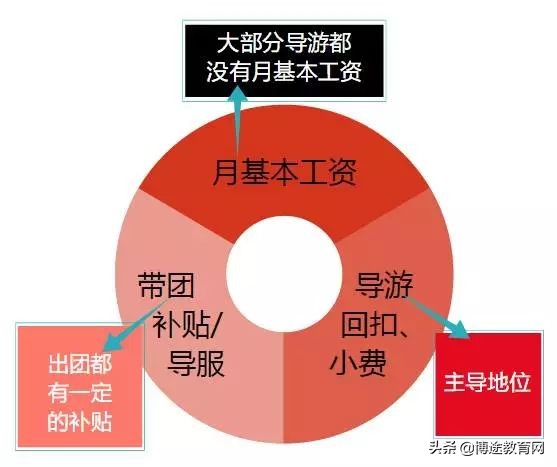 关于导游的工资收入水平，你了解多少？