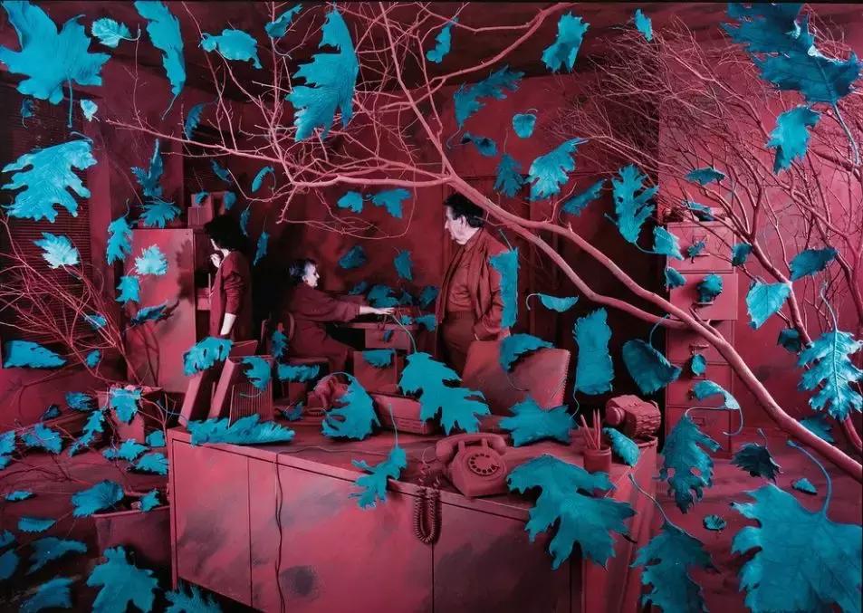 桑迪斯,桑迪斯科格兰德