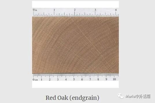 缇庡浗姗℃湪浜у尯,缇庡浗鍖楅儴姗℃湪