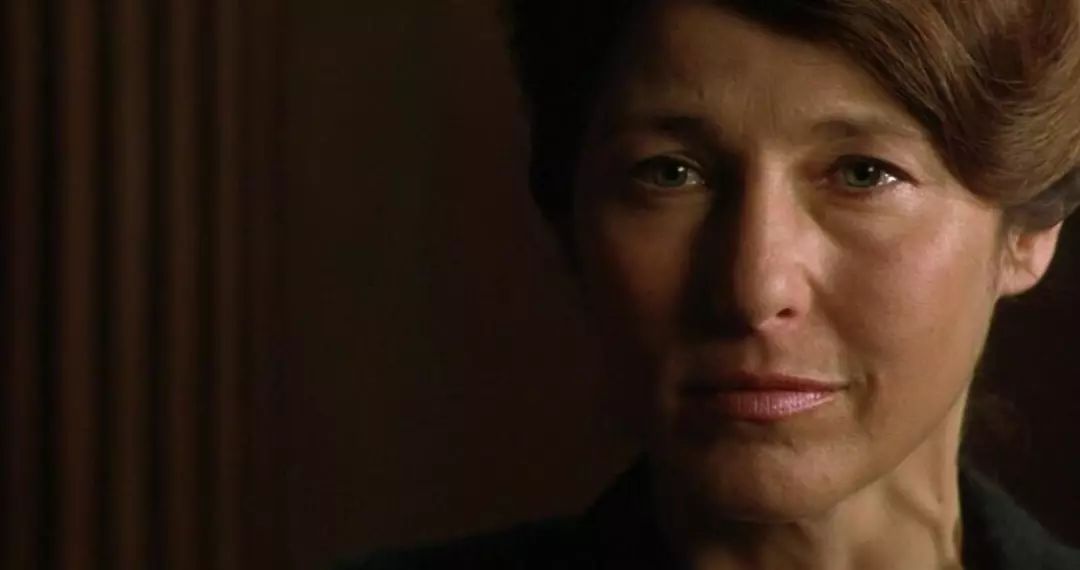 美国田园下的罪恶,美国田园下的罪恶电影解说