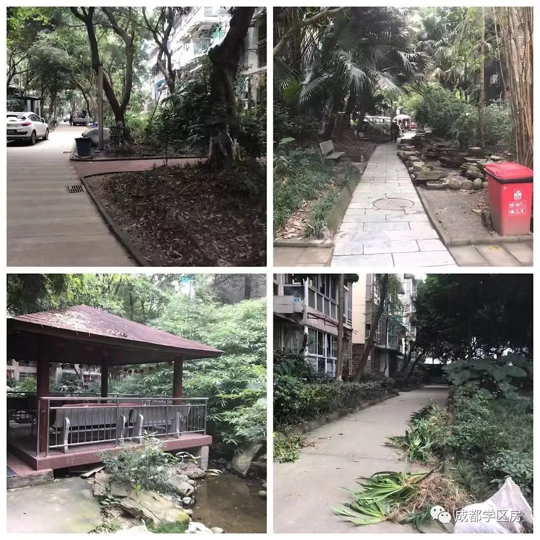 和泡小非常像的一个分校之最全盘点！​