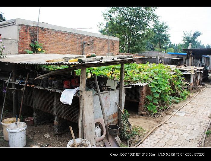 记录农家小院的真实生活,北方农村隐居田园的生活