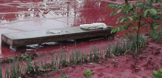 印度下血雨什么时候下的,为什么印度会出现血雨