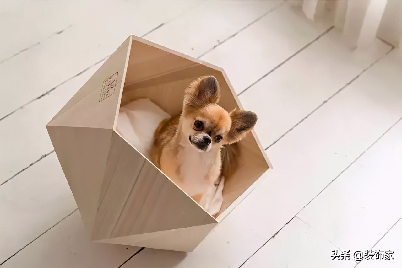 铲屎官最爱的客厅方案,铲屎官最满意的卧室装饰