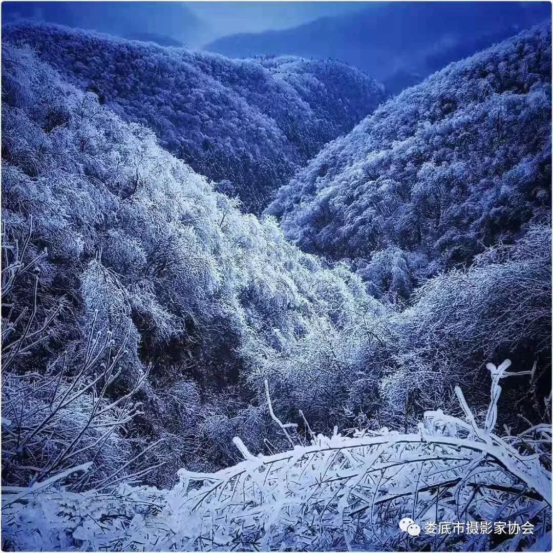 最新风景摄影小品欣赏,娄底景观小品