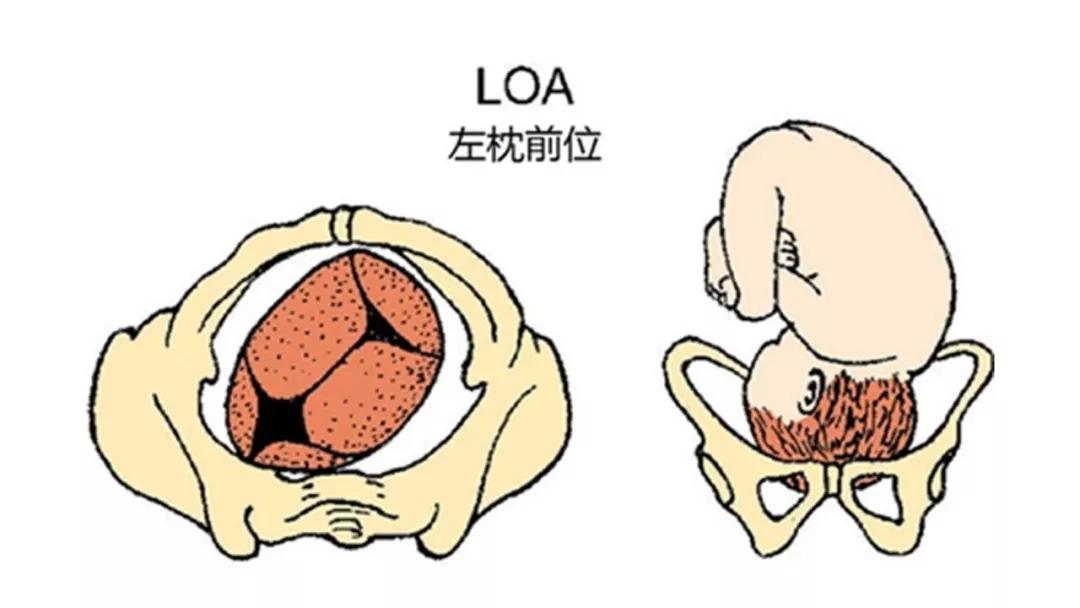 孕期到底需要做几次B超？B超/彩超/三维/四维的区别及选择