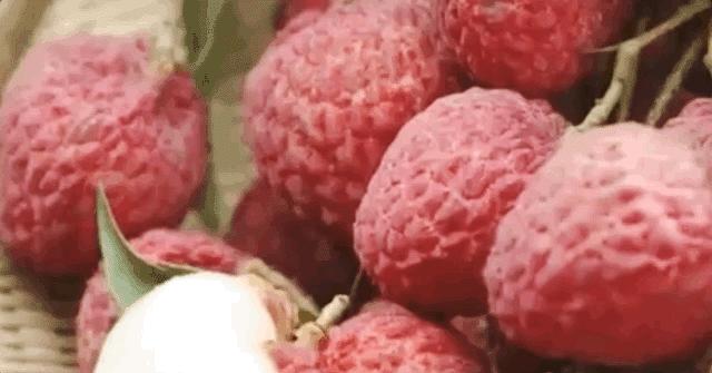 中国荔枝哪里好吃,哪个地方的荔枝最好吃最出名