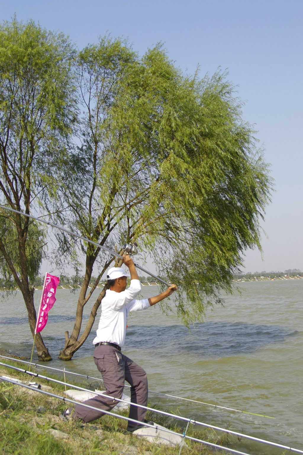 钓了这么多年鱼,钓了几年的鱼还是不懂抛竿