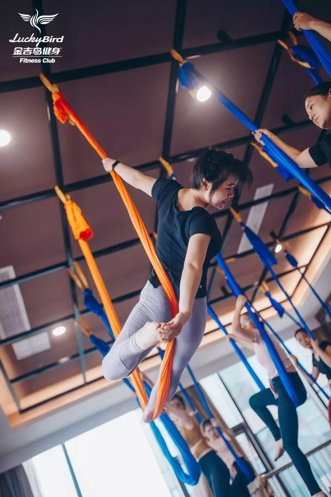 yoga从零开始,yoga的风格是什么