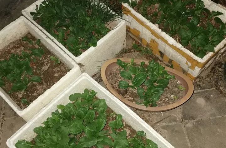 顶楼房子能买吗,顶楼复式的房子能买吗