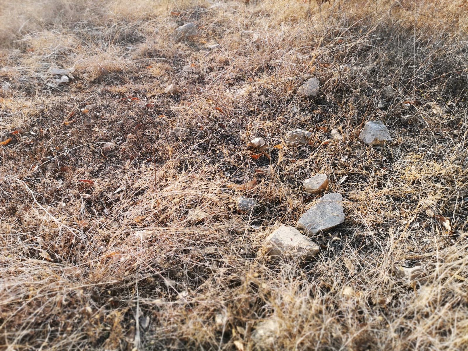 摩托周边旮旯游——探访蚌埠李楼鲁山寺遗址（上）