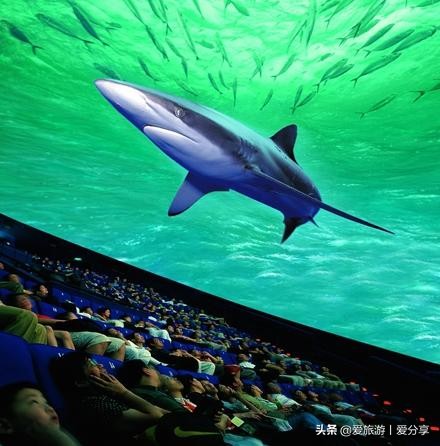 上海科技馆游玩攻略,景点打卡上海科技馆