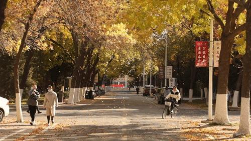 天津普通二本学校,天津普通二本大学目录