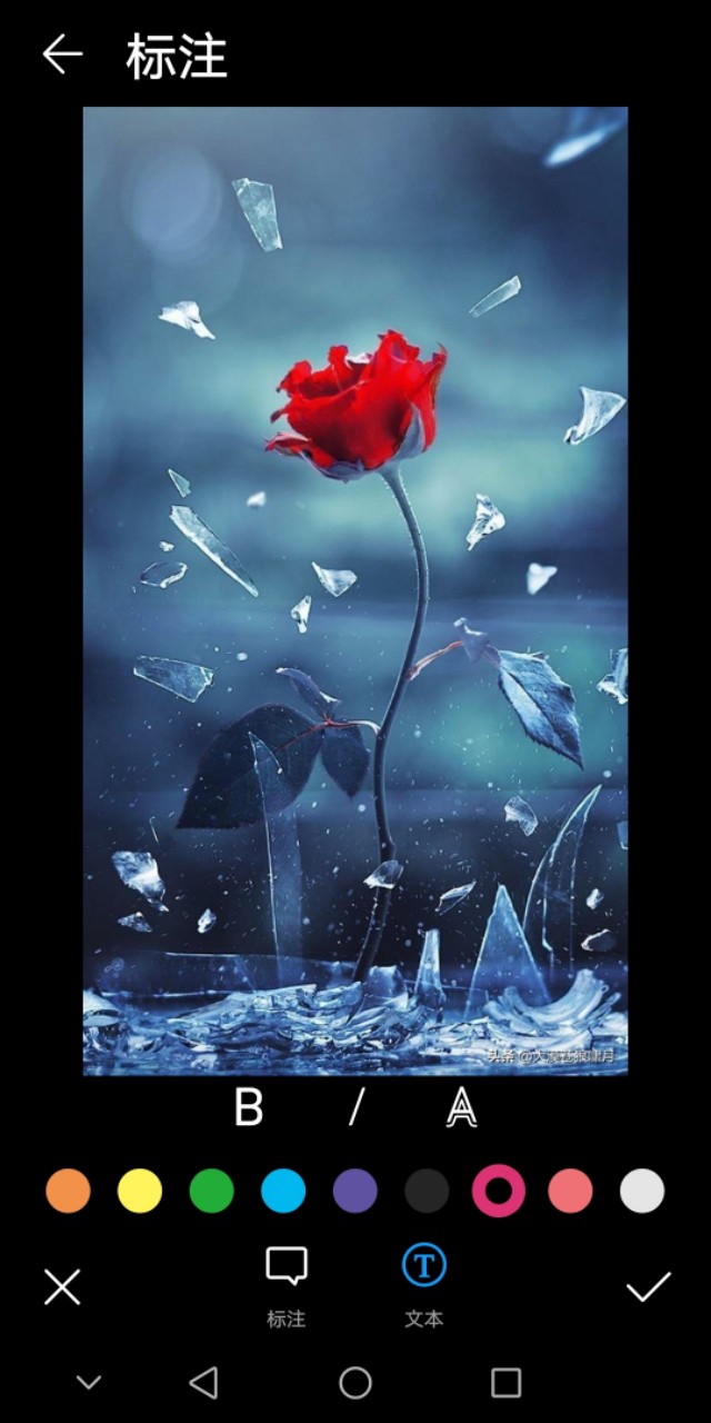 华为手机照片添加文字的方法,手机拍照怎么加文字上去