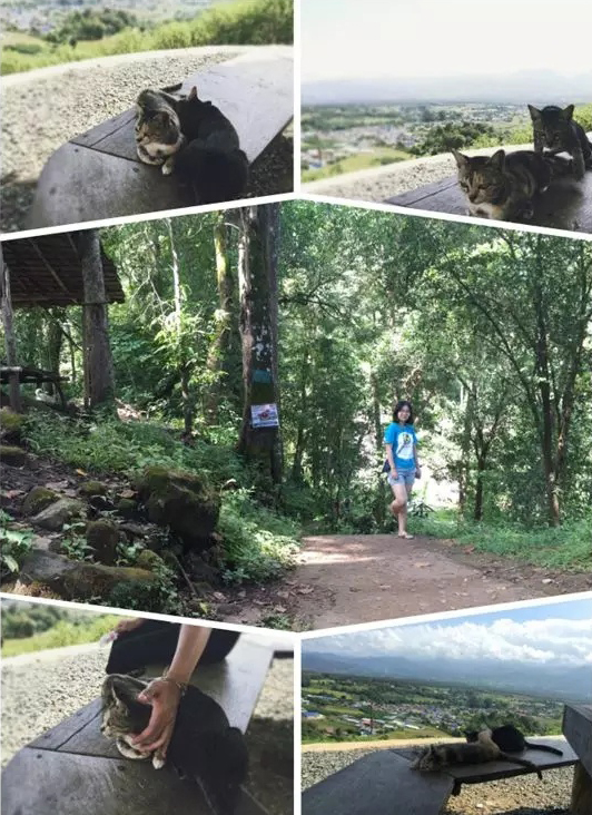 泰国清迈拜县旅游攻略,清迈拜县七日游