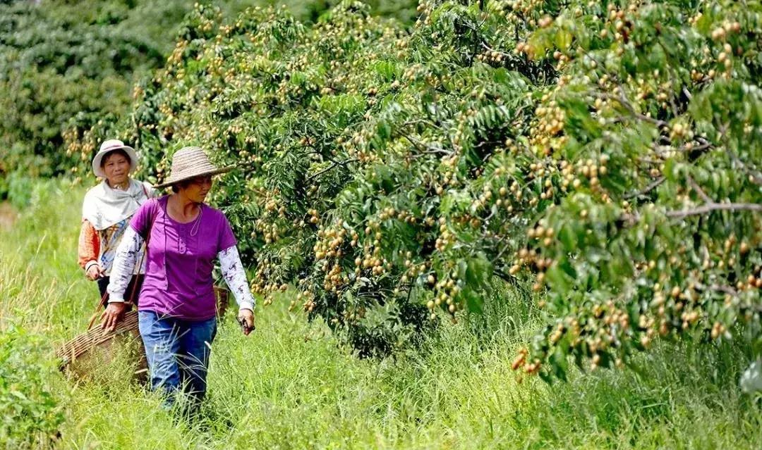 @所有人，为“钟落潭”大牌坊写楹联，万元大奖等你拿