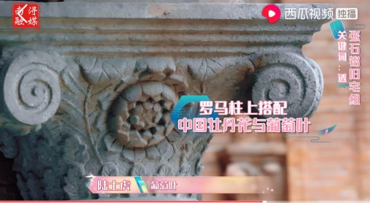 跟水晶晶女孩看水晶晶南浔，原来南浔古镇是非常宜居养老的好地方