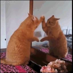 自学散打最简单方法,零基础自学散打方法