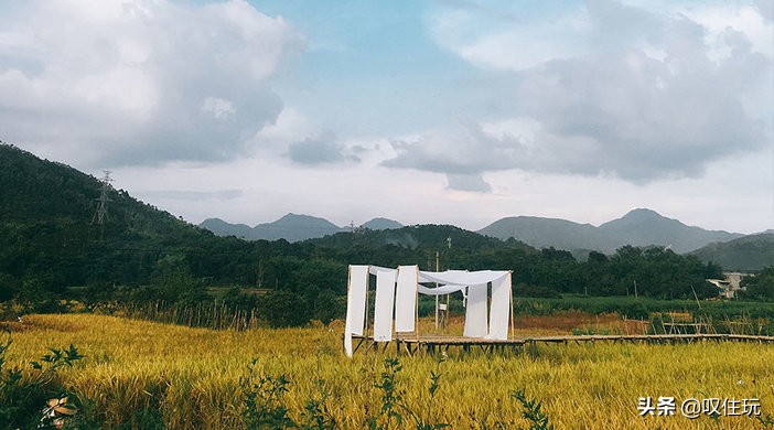 广州宛若故里·稻田里民宿,宛若故里民宿龙脊