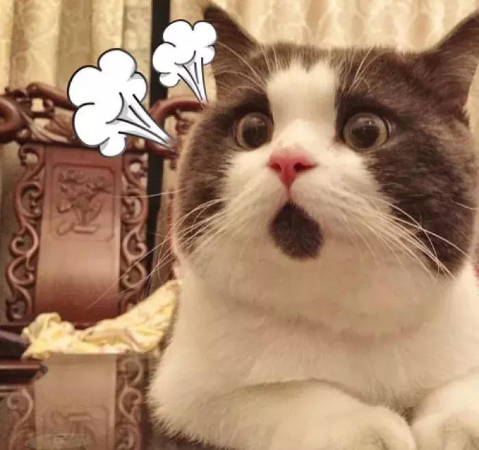 手脚共戴8块名表！留学生带35万奢侈品入境，涉嫌偷*税逃**款10余万