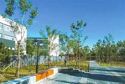 刚刚,海淀交出一份温暖的民生答卷!教育、医疗、住房、养老、交通……