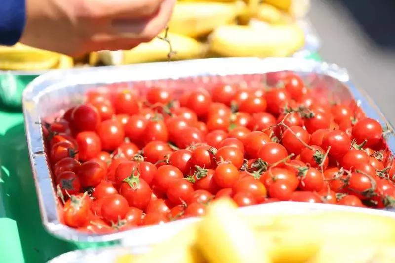 吉马运营专家评价,吉马成功靠自己