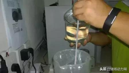 公猪精子稀释公式,公猪精稀释的方法