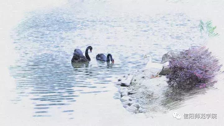 信阳师院高清图片,信阳师范学院手绘图片