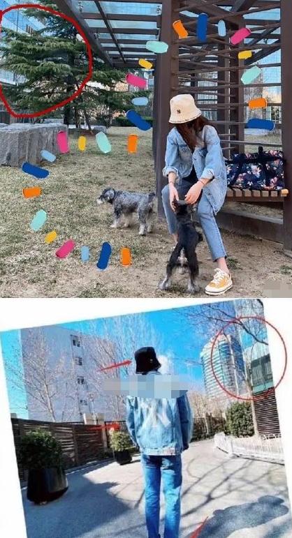 夏家三千金唐嫣证婚,唐嫣夏家三千金大结局