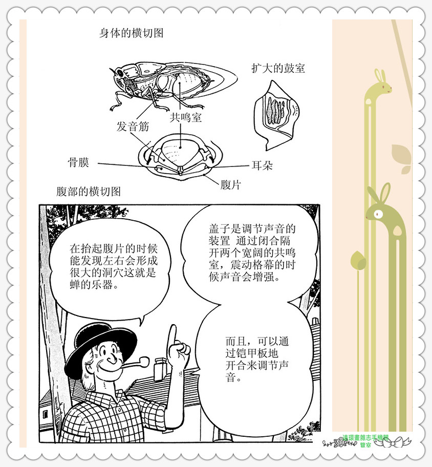 昆虫记法布尔动画片,昆虫记法布尔全套