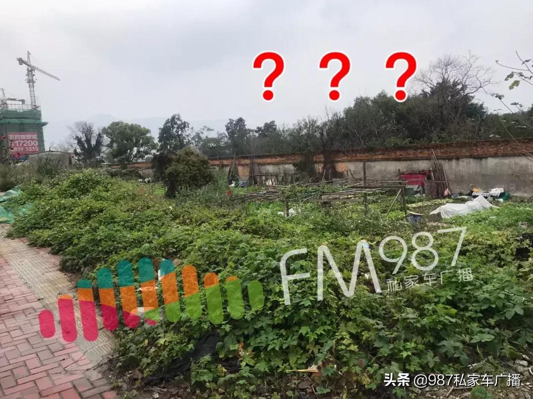 福州梁厝鹿岛公园免费,福建鹿岛公园最新消息