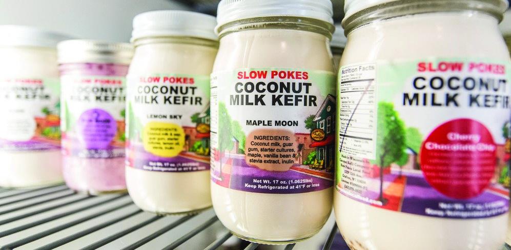 开菲尔酸奶菌和雪藏菌区别,开菲尔酸奶和希腊酸奶区别