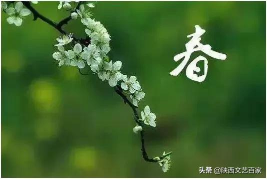 “三八妇女节”专栏：宝鸡著名诗人白麟《春天的女神》