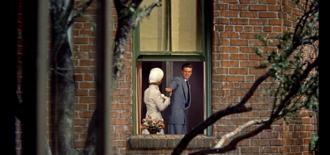 希区柯克经典电影后窗,希区柯克后窗艺术