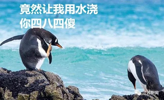 油锅失火的正确灭火方法,油锅起火男生正确灭火