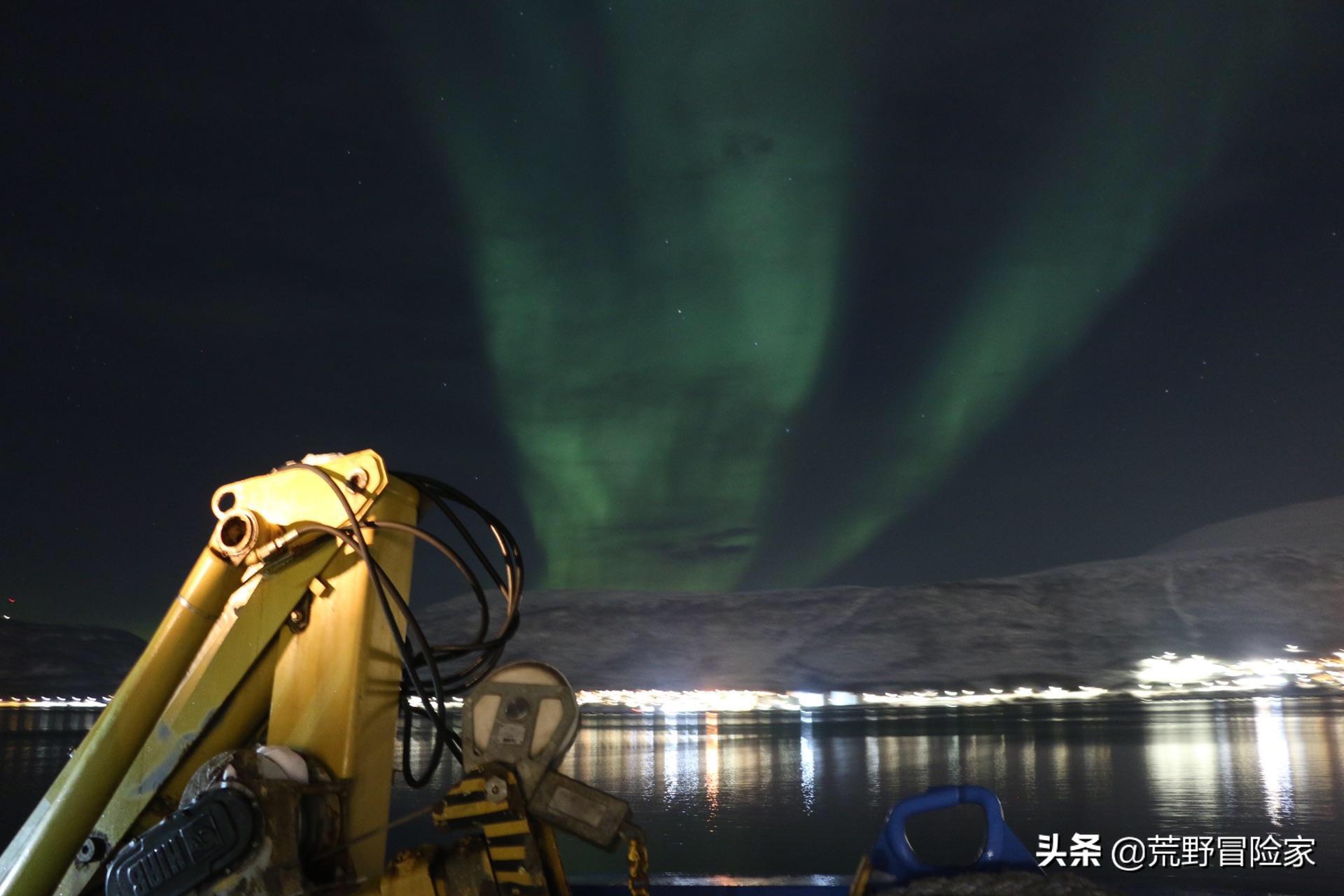 挪威北极鳕鱼和南极鳕鱼的区别,去挪威旅游吃海鲜