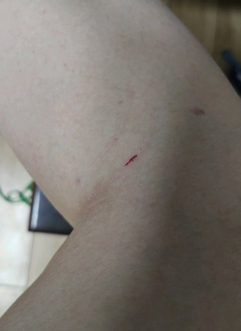 猫咪晚上特别吵屡教不改怎么办,猫咪脾气暴躁有哪些原因